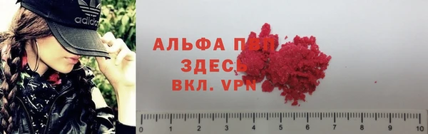 стаф Балахна