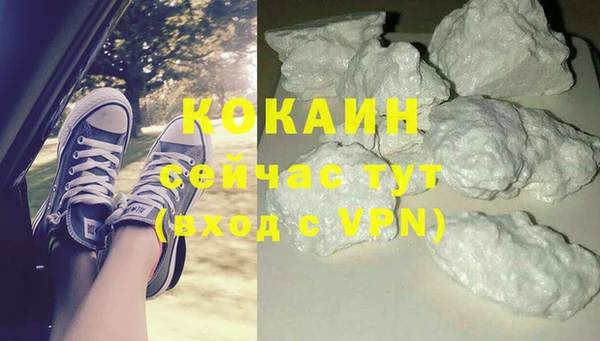 стаф Балахна