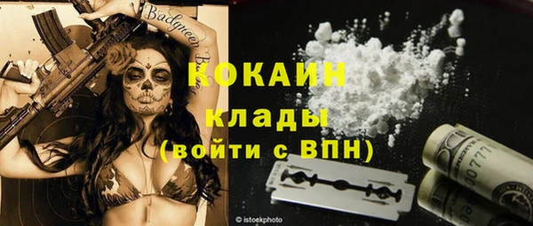 прущий лед Каменка