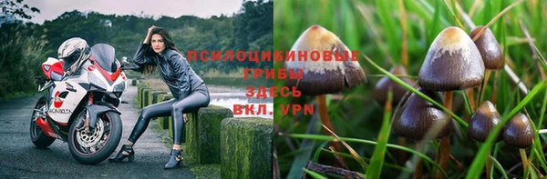 MDMA Нефтекумск