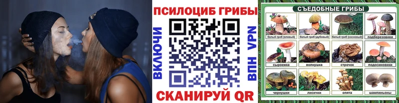 продажа наркотиков Отрадное это какой сайт Псилоцибиновые грибы GOLDEN TEACHER