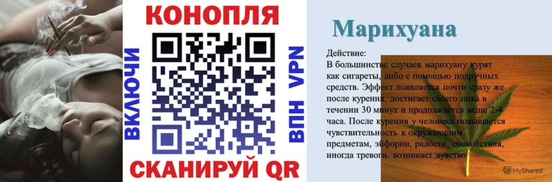 где можно купить наркотик  Отрадное  Конопля гибрид 